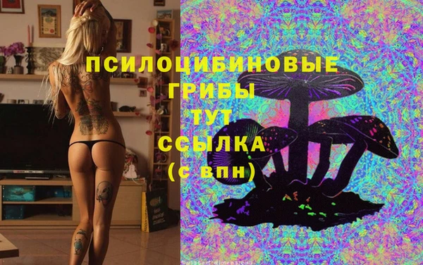 apvp Алексин