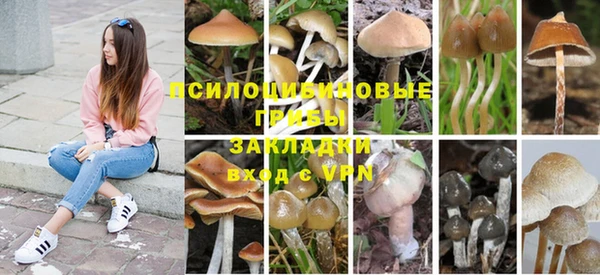 прущий лед Алзамай