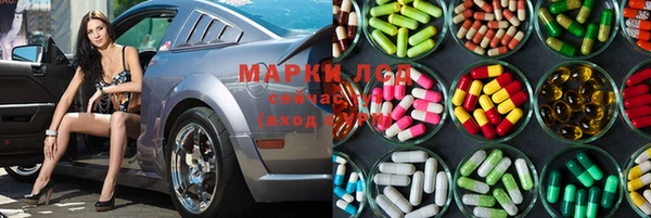 прущий лед Алзамай