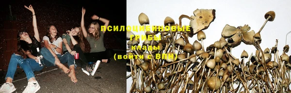 кокаин колумбия Алексеевка