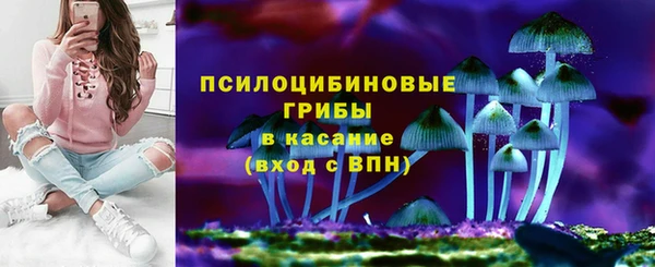прущий лед Алзамай